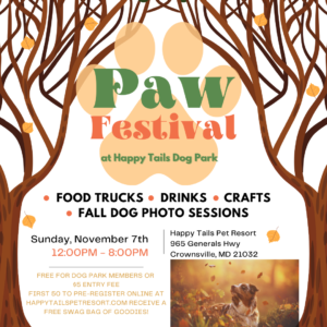 Fall Fest in the Park