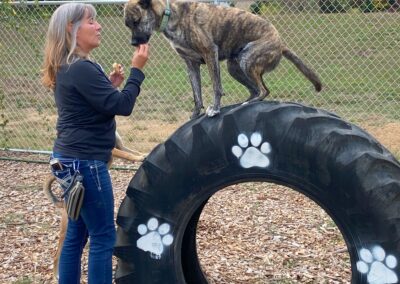 Barktober Fest 2021 at Happy Tails Pet Resort