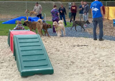 Barktober Fest 2021 at Happy Tails Pet Resort