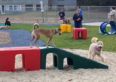 Barktober Fest 2021 at Happy Tails Pet Resort