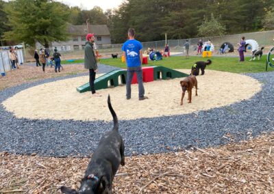 Barktober Fest 2021 at Happy Tails Pet Resort