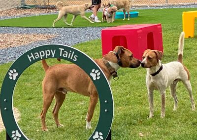 Barktober Fest 2021 at Happy Tails Pet Resort