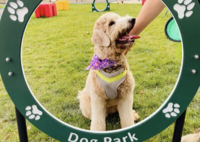 Barktober Fest 2021 at Happy Tails Pet Resort