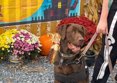 Howl-o-Ween 2021 at Happy Tails Pet Resort