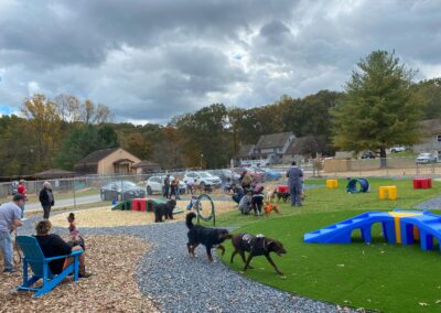 Howl-o-Ween 2021 at Happy Tails Pet Resort