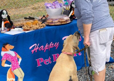 Howl-o-Ween 2021 at Happy Tails Pet Resort