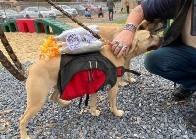 Howl-o-Ween 2021 at Happy Tails Pet Resort