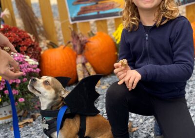 Howl-o-Ween 2021 at Happy Tails Pet Resort