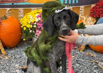 Howl-o-Ween 2021 at Happy Tails Pet Resort