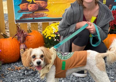 Howl-o-Ween 2021 at Happy Tails Pet Resort