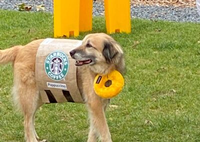 Howl-o-Ween 2021 at Happy Tails Pet Resort