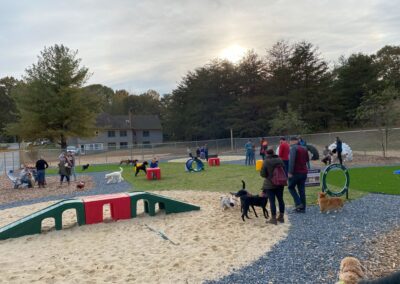 Paw Festival in the Park 2021 at Happy Tails Pet Resort